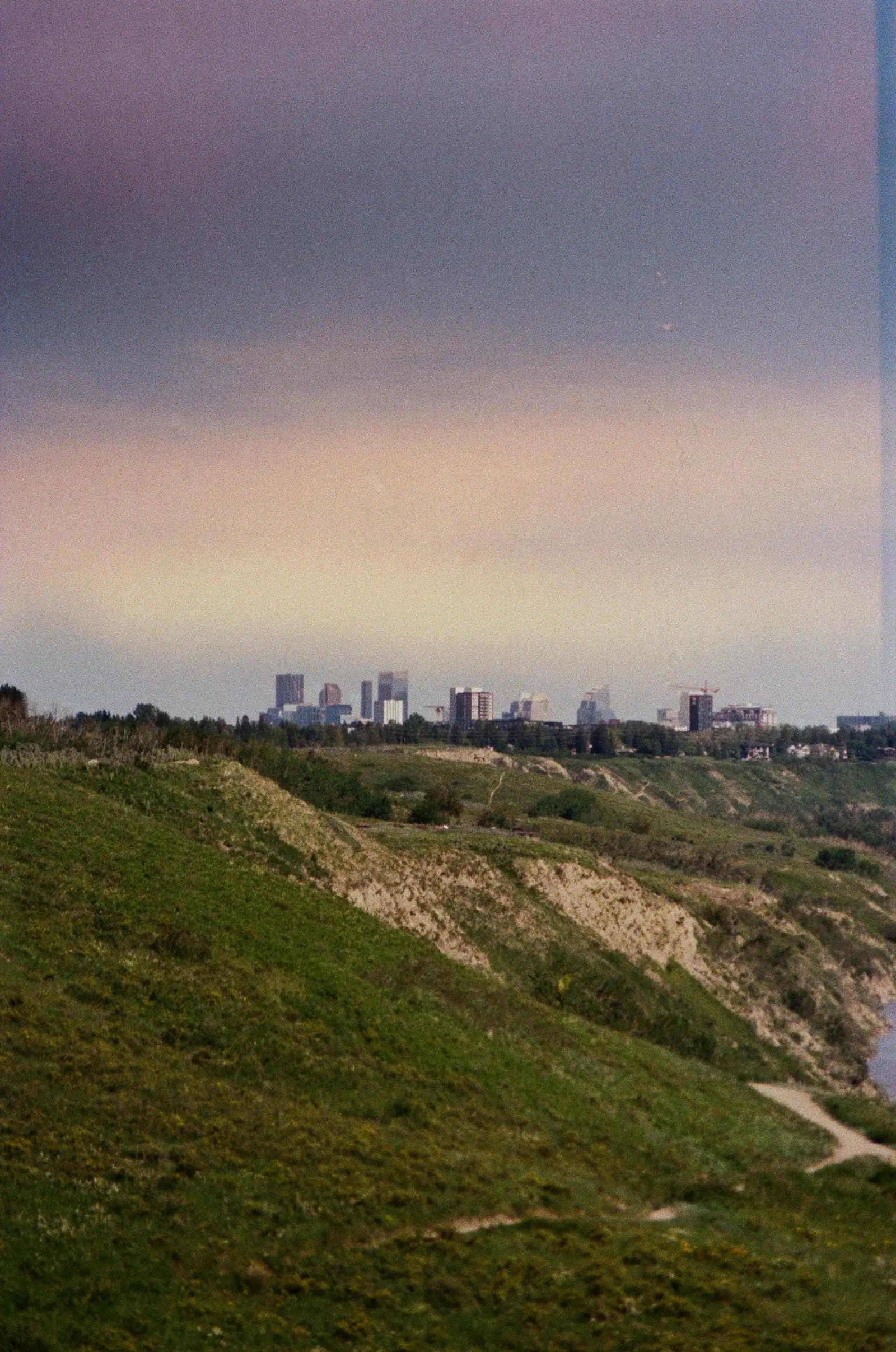 Grassy hills in Bowness with the Calgary skyline in the distance