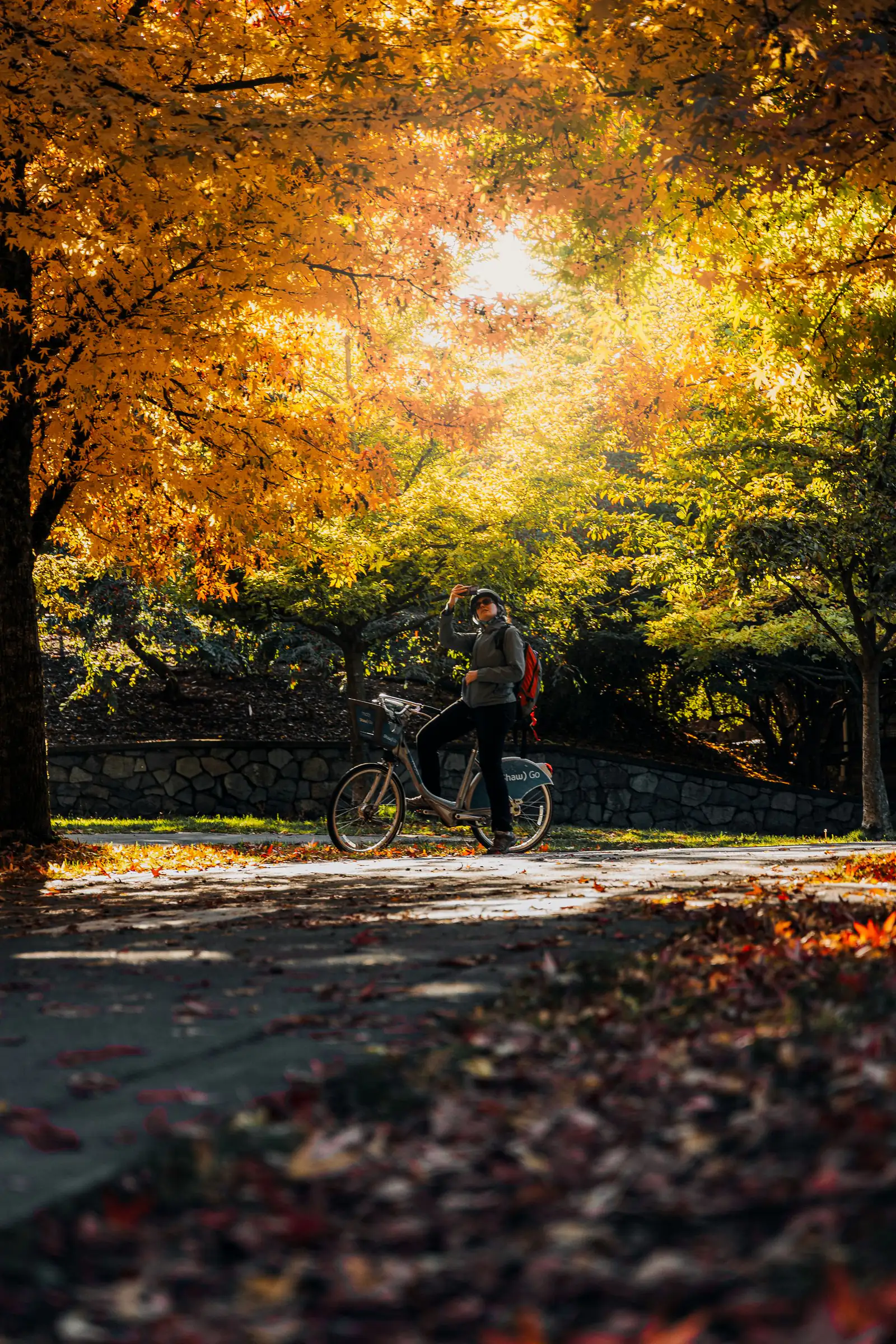 A cyclist with a bicycle under bright autumn trees on a park path in Vancouver